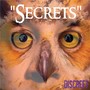 Secrets By Discreet