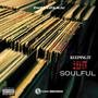 Keeping It Soulful (Explicit)