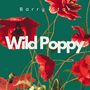 Wild Poppy (Jazz Echoes Beneath Crimson Petals)