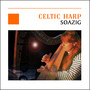 Celtic Harp