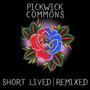 Short Lived - Remixed