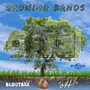 Growing Bands (Explicit)