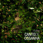 Canto de Ossanha - Single