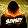 Sensey (feat. ArmaBeats) [Explicit]