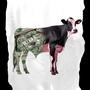 Cash Cow (Explicit)