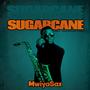 Sugarcane (Saxophone Cover)