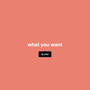 What You Want (Explicit)