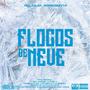 FLOCOS DE NEVE