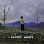 Pocket Money