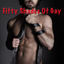 Fifty Shades Of Gay