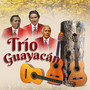 Trío Guayacán