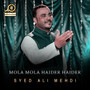 Mola Mola Haider Haider - Single