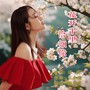 花开十里恰如你