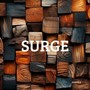 Surge