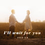 I'll wait for you