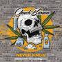 Never Know (feat. Sankofa & BISON.FC) [Explicit]