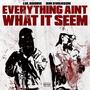 Everything Ain't What It Seem (feat. Bin Swanson) [Explicit]
