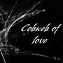 Cobweb of Love