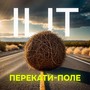 Перекати-поле