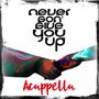 Never Gon' Give You Up Acappella (feat. Mister Fitzwell Acappella)