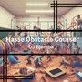 Hasse Obstacle Course