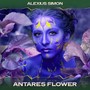 Antares Flower