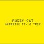 Pussycat (feat. 2Trip) [Explicit]