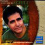 Best of Houshmand Aghili - Persian Music