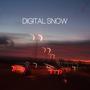 Digital Snow