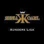 Aundere Liga