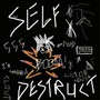 Self Destruct (Explicit)