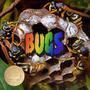 BUGS (Explicit)