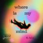 where is my mind (feat. lui x)