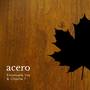 Acero (feat. Charlie T)