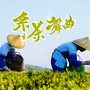 采茶舞曲