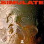 SIMULATE