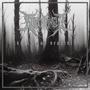 Thorns and Branches (Single)