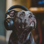 Calma Oceánica Canina: Música Para Perros