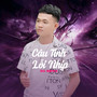 Câu Tình Lỗi Nhịp (Do Remix)