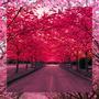 Down We Fall, Tape 8: In Cherry Blossoms (Explicit)