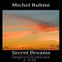 Secret Dreams: Improvisations I - VII