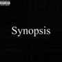 Synopsis (Explicit)