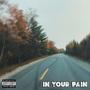 In Your Pain (Explicit)