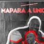 Mapara A Unicorn (feat. Cyclone, Azani_rsa & Leyonce)