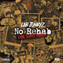 No Rehab the Lost Files (Explicit)