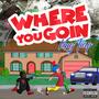 Where You Goin (Explicit)