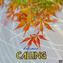 Calling (Explicit)