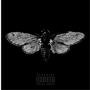 CICADA (Explicit)