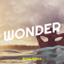 Wonder