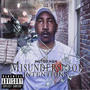 Misunderstood Intentions (Explicit)